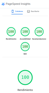 PageSpeed Insights mostrando puntuación perfecta